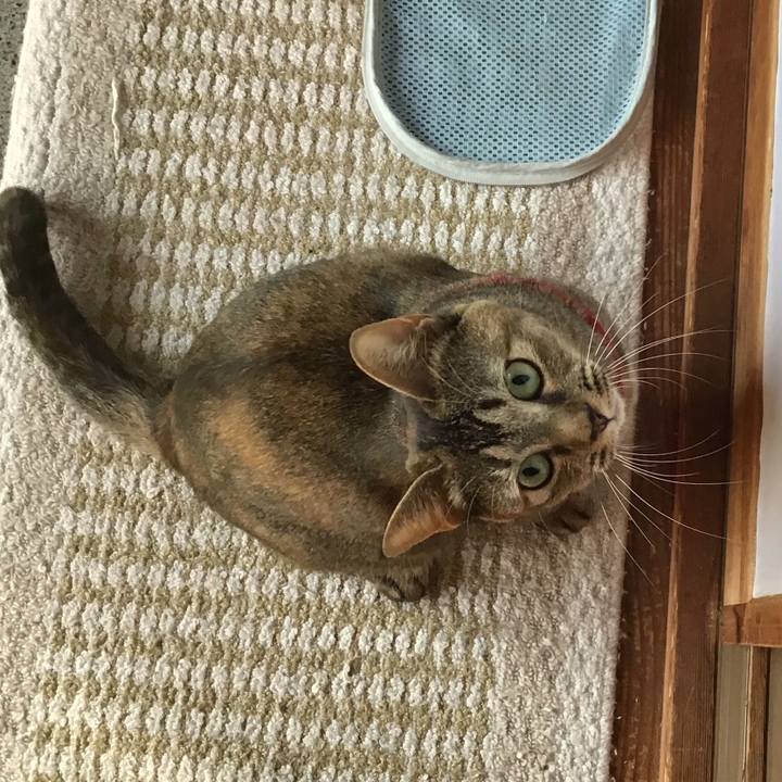 6c705518 72ed 476c 8880 d8a055c5dfbe 1603523916764