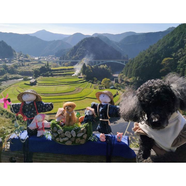 6c70582b 03fe 4cb8 8c11 f2090ea63ada 1761985259200