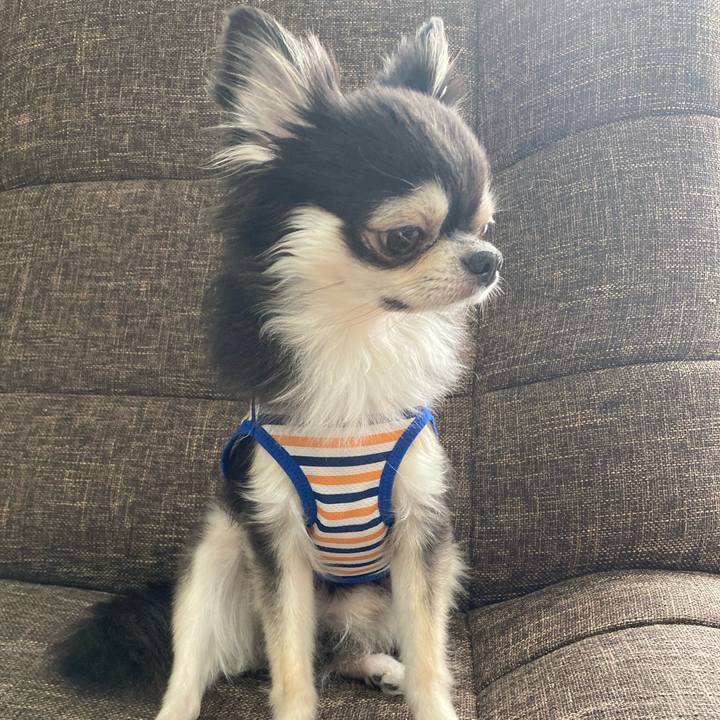 6c7059ba 5588 4e4e ab3a ae7d5f8becb2 1694878588660