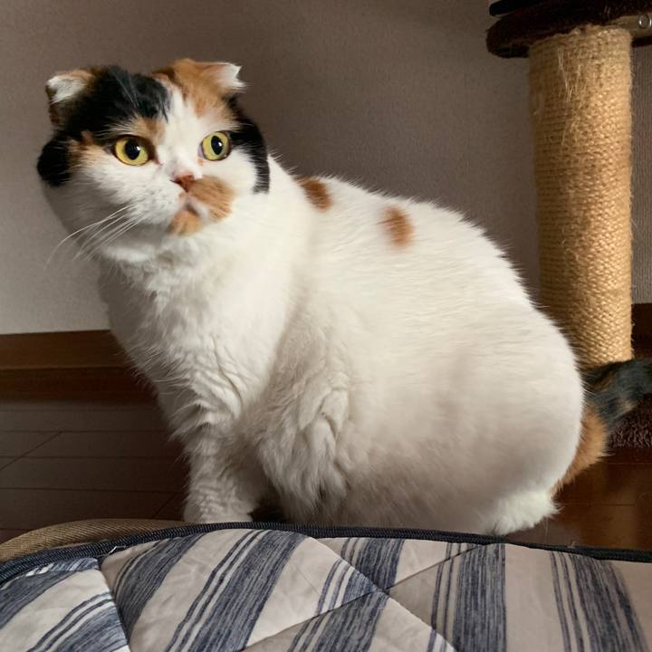 6c705b75 6fcb 42c8 a968 14334adf2c75 1563920375646