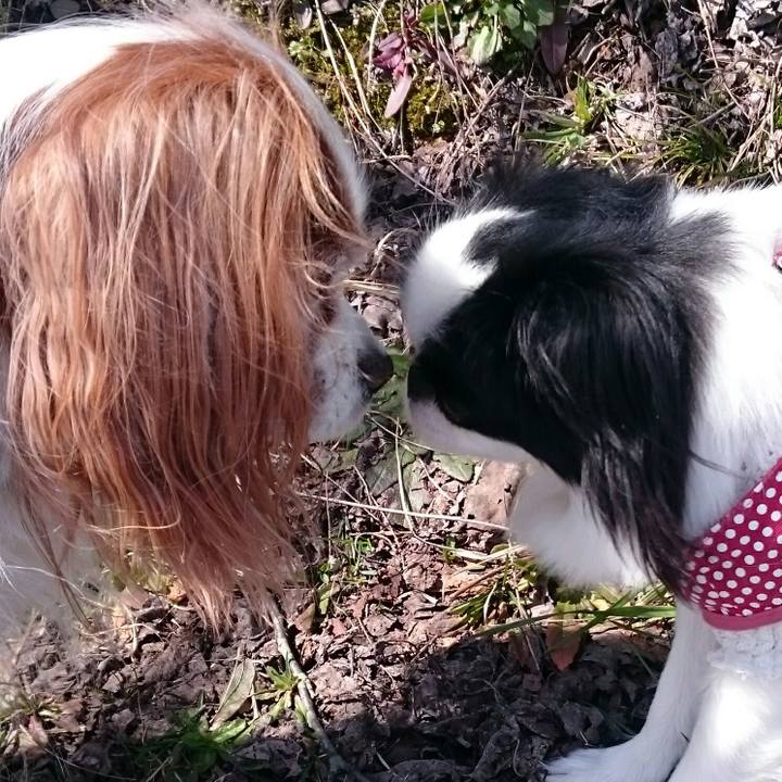 6c705e75 9884 4be8 9a51 7fa162cab19e 1554000115900