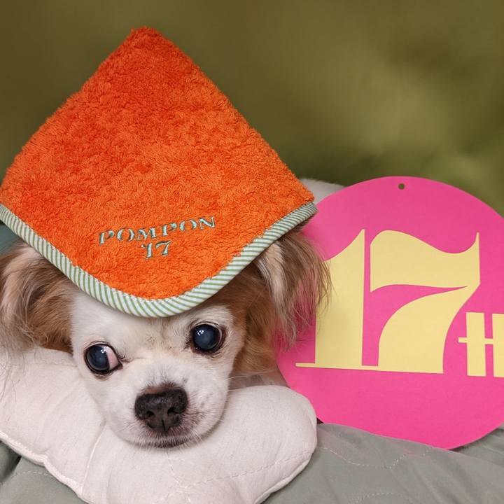 6c707510 6b70 49d7 a5c0 4c30b9b20f5a 1668168364322