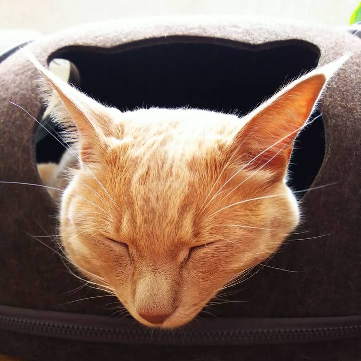 6c7084f0 79a2 4da4 abff d71848e5eabc 1597302924021