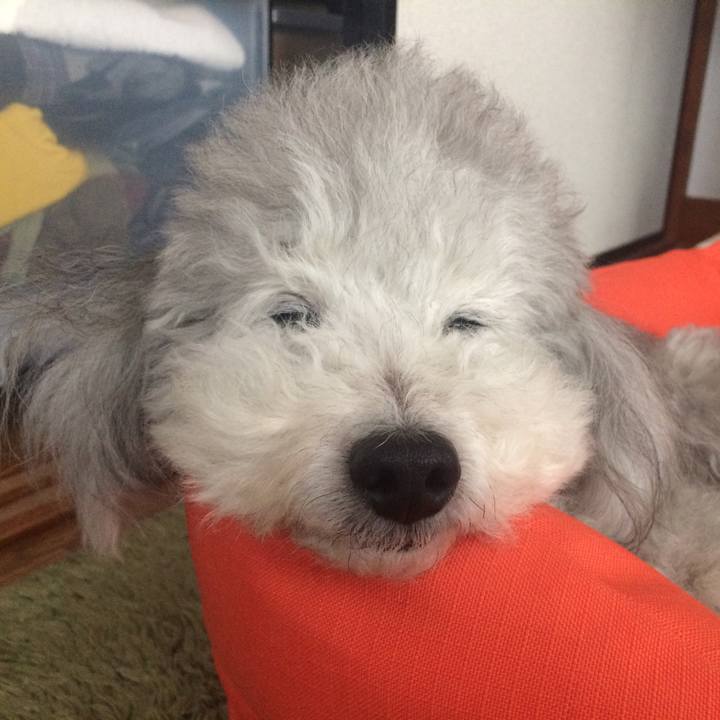 6c708cf9 ad8b 4181 90b1 634e5b3bc0dd 1511753592199