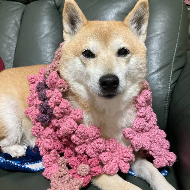 6c70acee 8f0d 48c4 955d aa92598d52e8 1612345248260