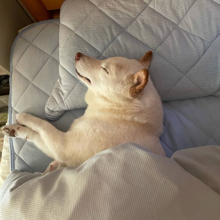 6c70b8d3 010c 4953 916d c61a7bb01d18 1633875079768