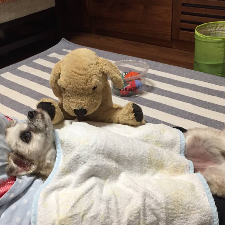 6c70cbe9 1b05 4885 b776 732538cae3f1 1564831475693