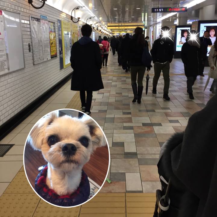 6c70cbf7 f0f1 4863 b70a 8f23e9c224b4 1517565885911