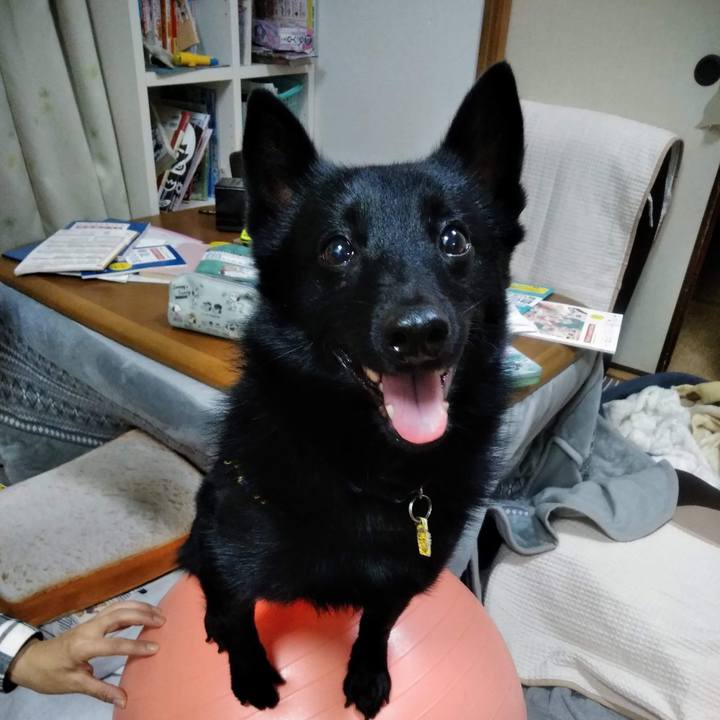 6c70d6fe cd64 49a2 bbbe 4a4e18c6da73 1580597350552