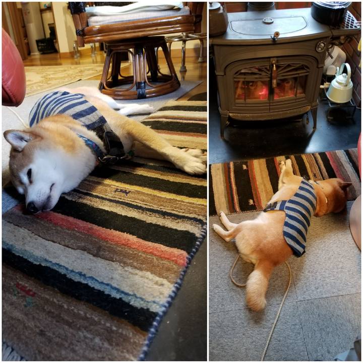 6c712982 d6e7 4647 bb53 00b179d8aa6b 1577315435779