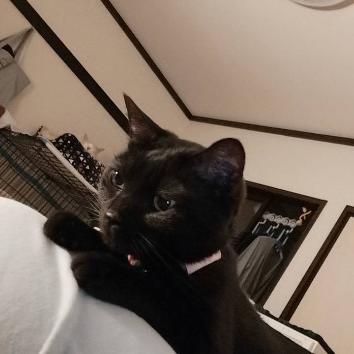 6c71938e 6dc2 490e b60f 58fd764d09cd 1649428227772