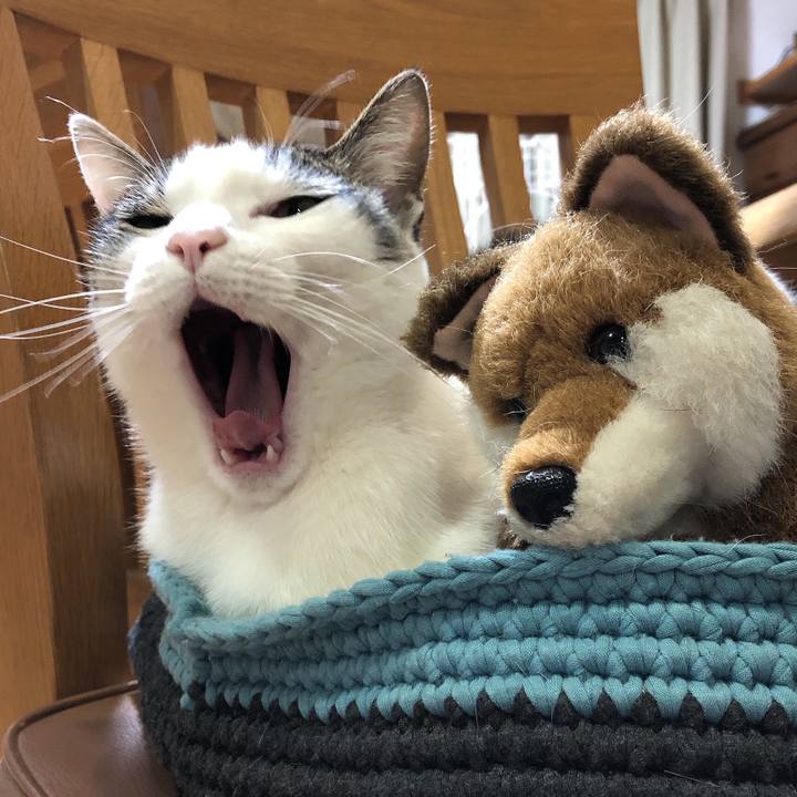 6c71b8ff bb00 45dd 867c 73fcbb45a20d 1618833593658