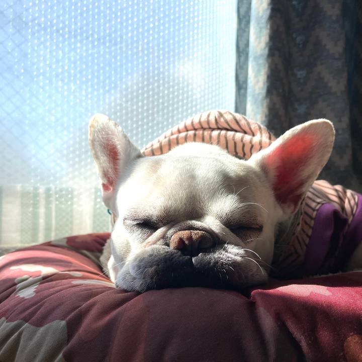 6c71b995 6987 49bb a06c eb8979987364 1738899027486