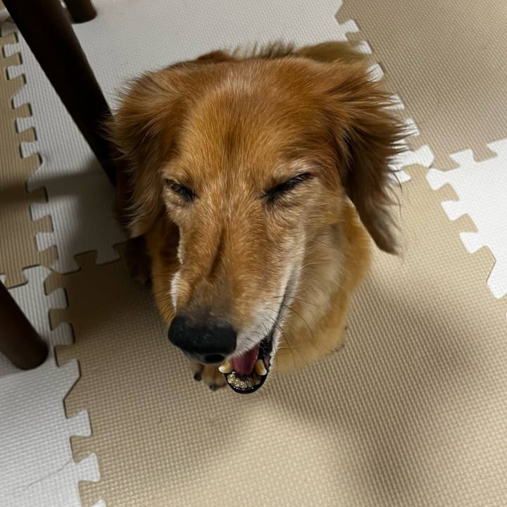 6c71dee9 ae02 404d 82ed 4446e08c6246 1661953132376