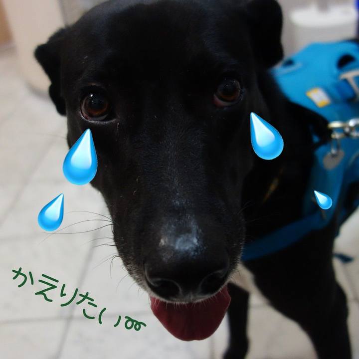 6c71f138 162d 4ef0 b48d fb95df893ba9 1613733580357