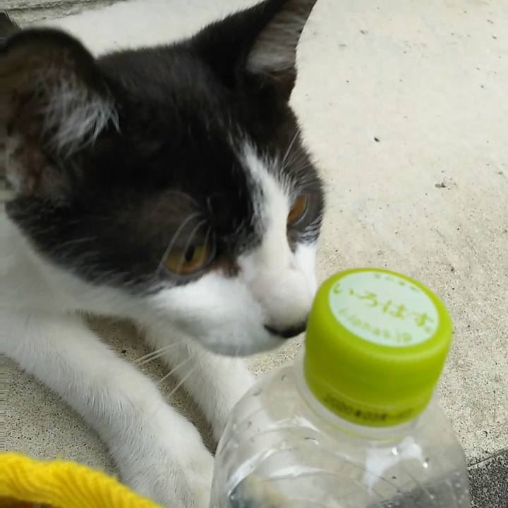 6c721f17 9d5d 4f3f 8b58 703c8f8495be 1534149869133