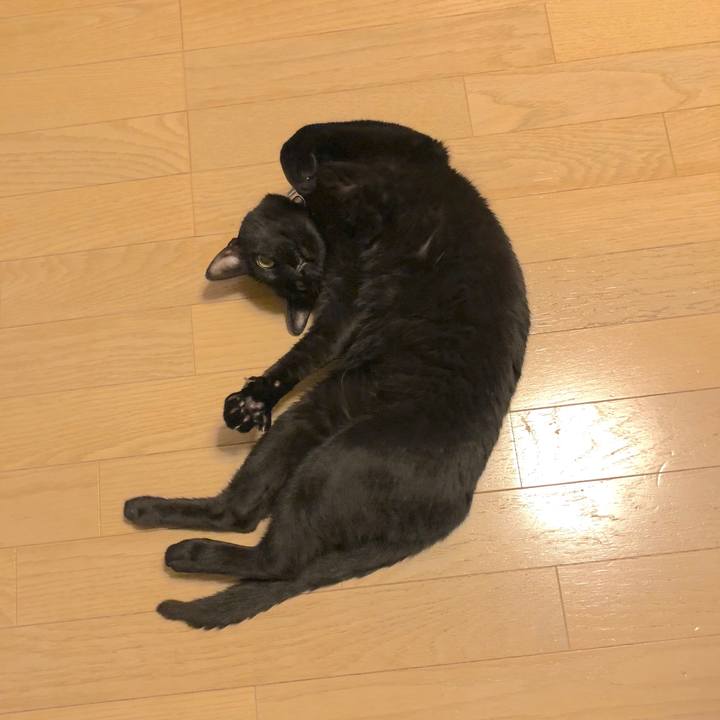 6c727cc0 8009 4556 af9b adbcd70cb316 1525950832596