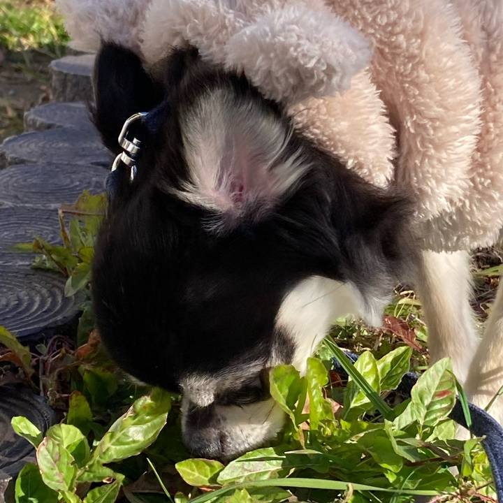 6c728f76 ac21 41e0 8aa7 33f6bf729957 1672585961987