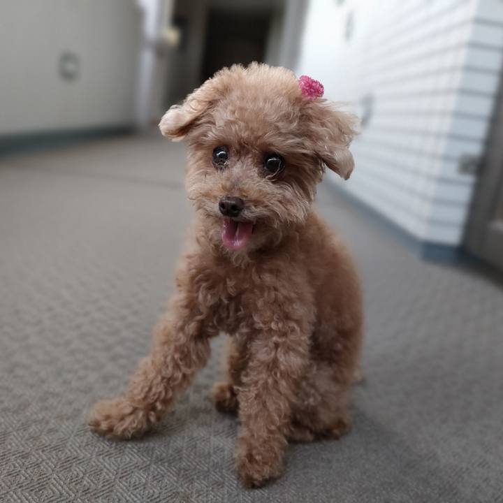 6c72a230 6aef 47de 82a9 905b5b5381c5 1630357652977