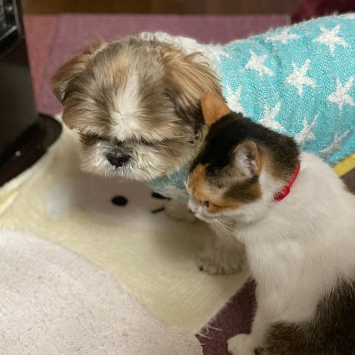 6c72a539 7c02 4431 ac7b 0b6496273a8d 1636642487211