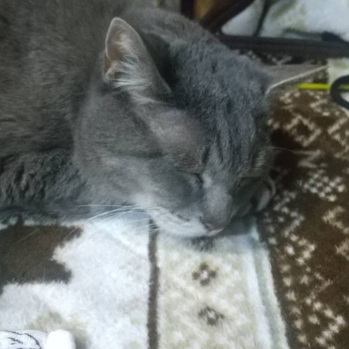 6c72bb35 1a22 4f99 b562 749d8e8b8c8d 1672308627453