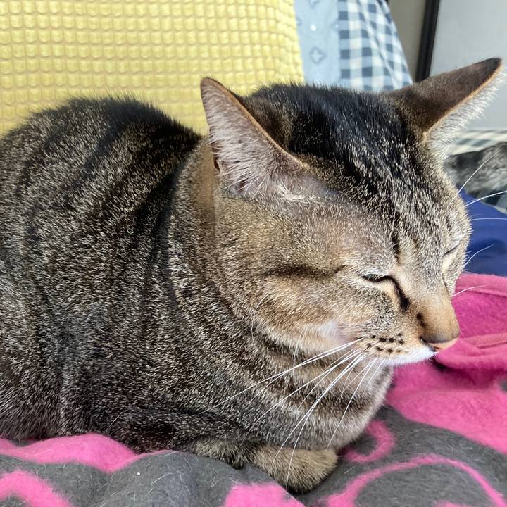 6c72c2bf 810e 4e5e 9c33 f28af4583fb7 1771197471278