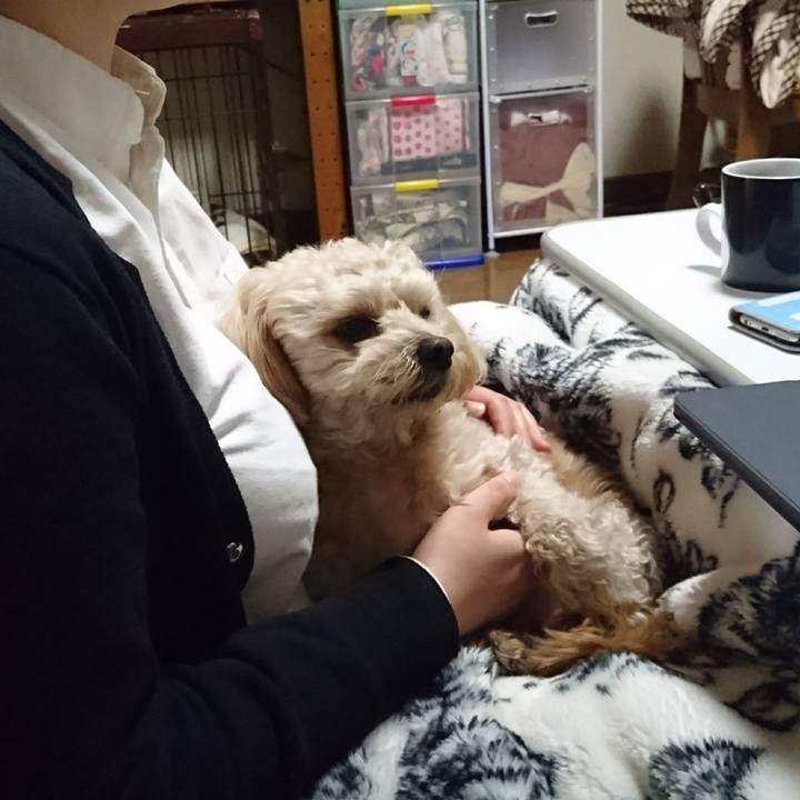 6c72c4d2 752b 4be7 9981 f6ba21b6b354 1555106636740