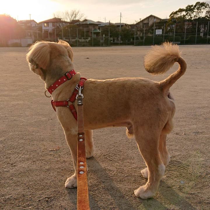 6c72e99b a8df 4f48 971a c398d3f754c9 1615283179946