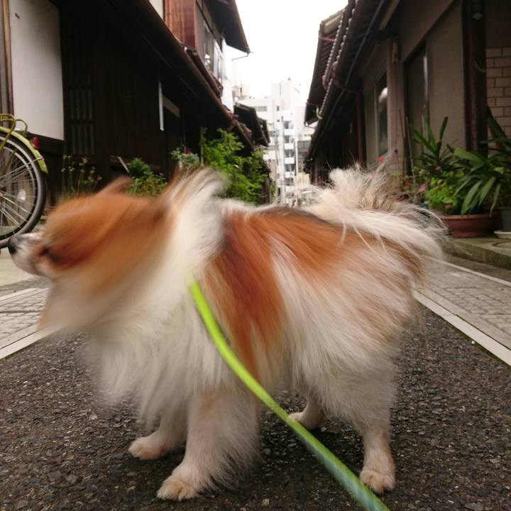 6c72ec48 f0b9 4ccb 8af0 205ef2560fea 1571734850728