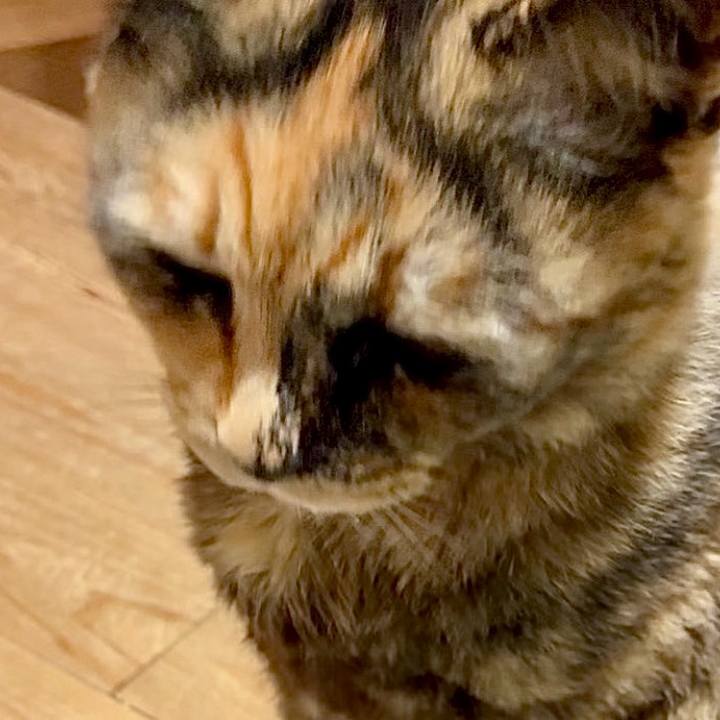 6c732670 1286 4798 b412 2221b77f11f9 1747568444328