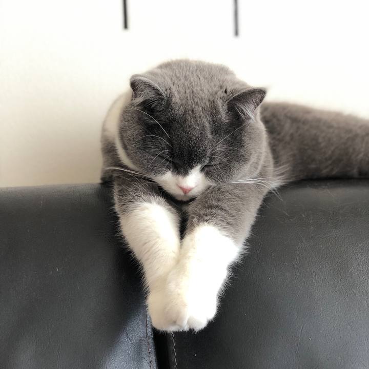 6c737376 7f2c 4cbd 9697 4b762cf978fa 1523157243659