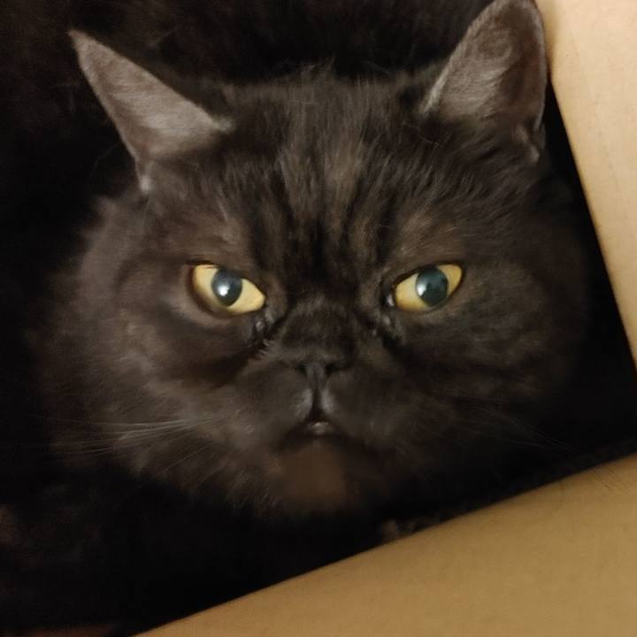 6c73b477 38a5 4aa0 b41e ddf34ded1f7d 1616928519266