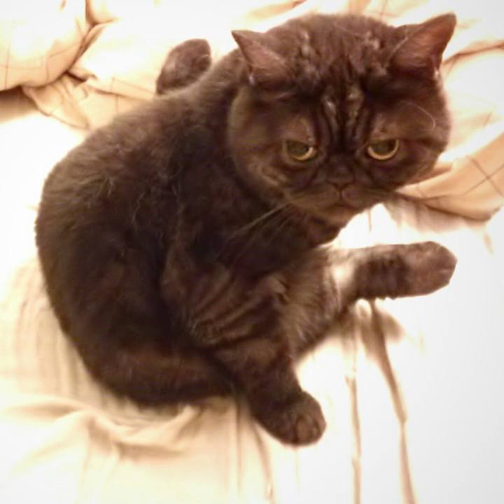 6c73b9f2 20c3 4db6 96dc 3356e9ad4de6 1509244262259