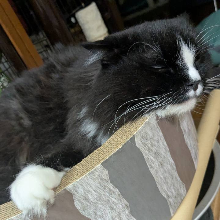 6c73dd4f f7e3 45cf b421 e6a9b500385a 1752404496988