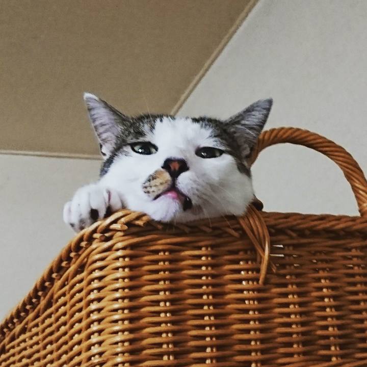 6c73eb0d e6e9 45e8 b793 cc843e4cdd4a 1509862681569