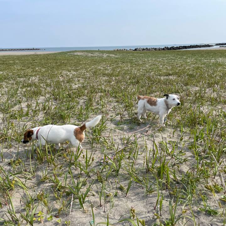 6c73ed55 b20e 4785 958d ac7f285208f3 1653005179594