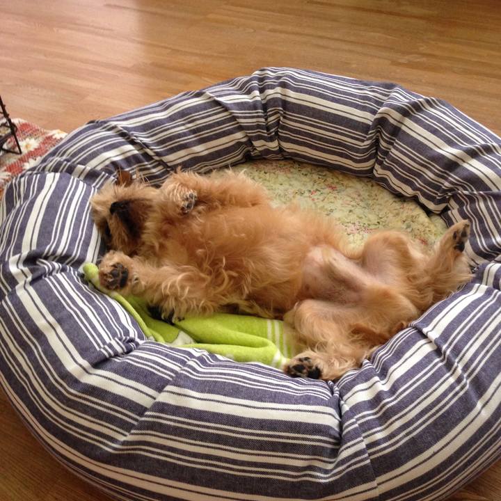 6c7402fb 6637 4695 b5e3 401dd5bb75e3 1565584724533