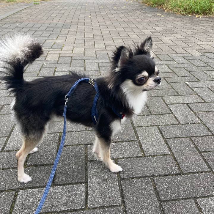 6c7428ac be59 4000 9a41 853ba56e14c9 1632554460474