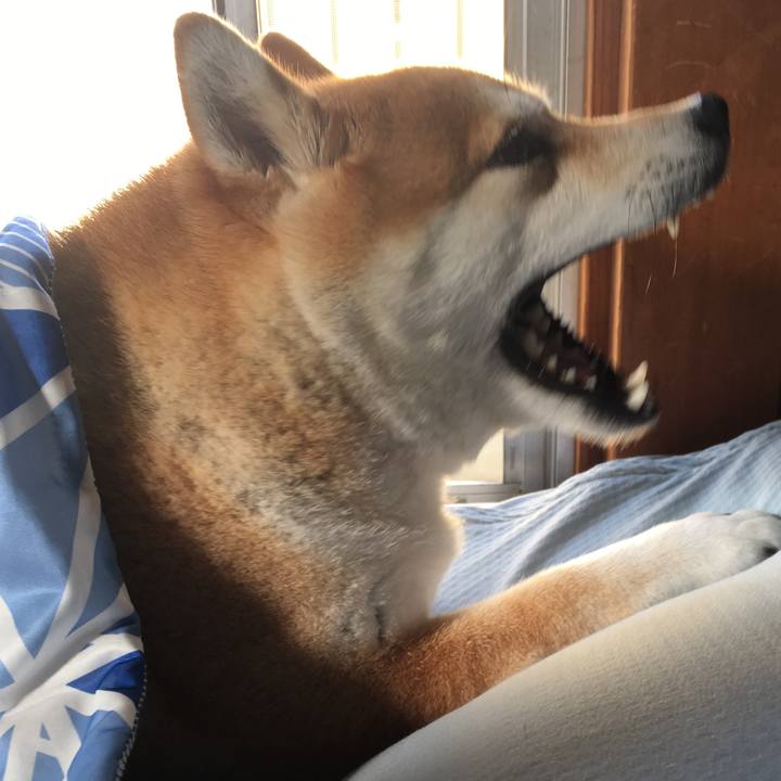 6c742a06 b724 4d7a a80b e7288e6e5f26 1568933681697