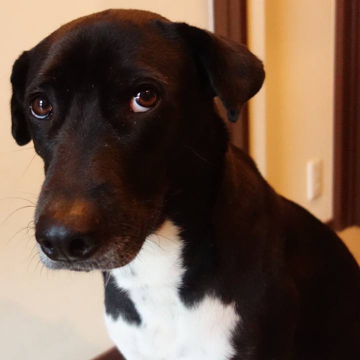 6c744a1c 5925 4a37 b746 dc73e47d993d 1610274041651