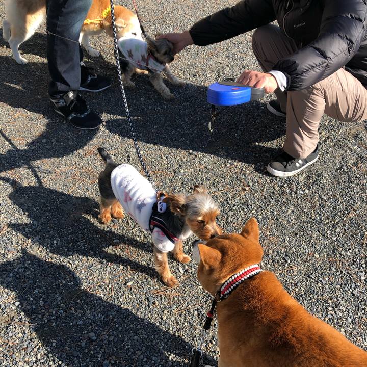 6c744dc7 db56 4f2f b43b a0300411a4ad 1549597183752