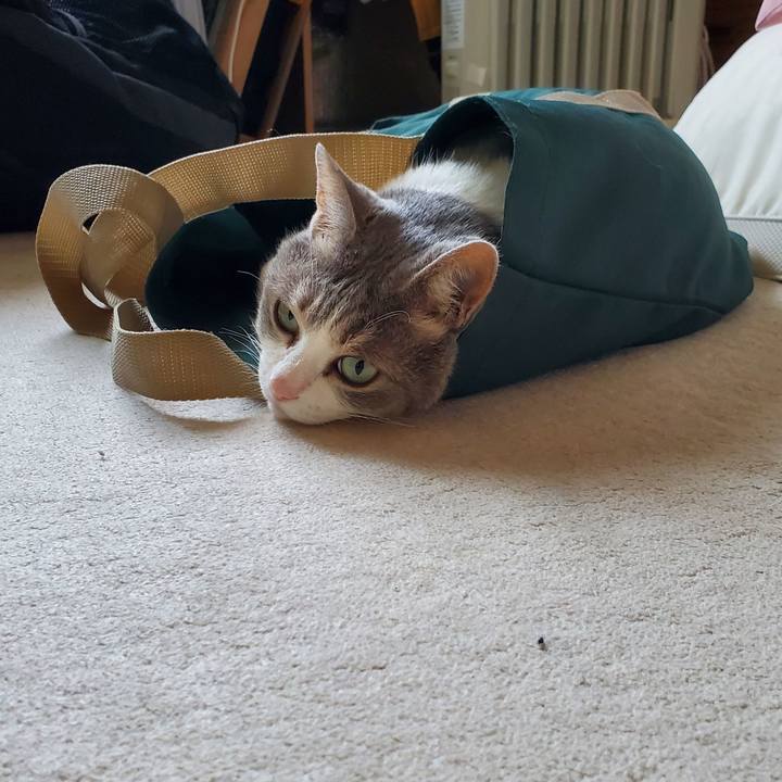 6c747c92 b44b 4e33 9286 0957bfc1a620 1721368103323