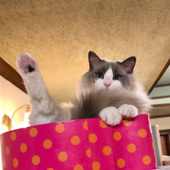 6c7481c3 9448 4e98 9755 8c9d334dbc85 1611236460140