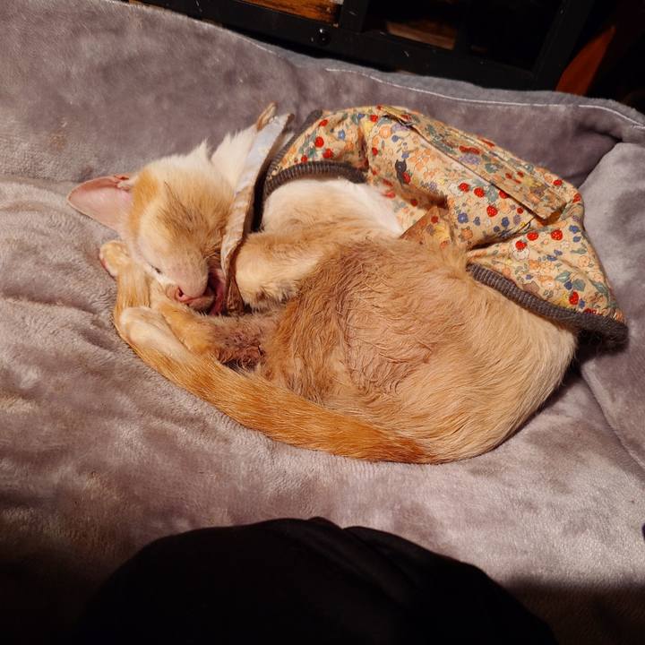 6c749958 8a2b 4de2 9278 caf9ac325d6d 1771326174765