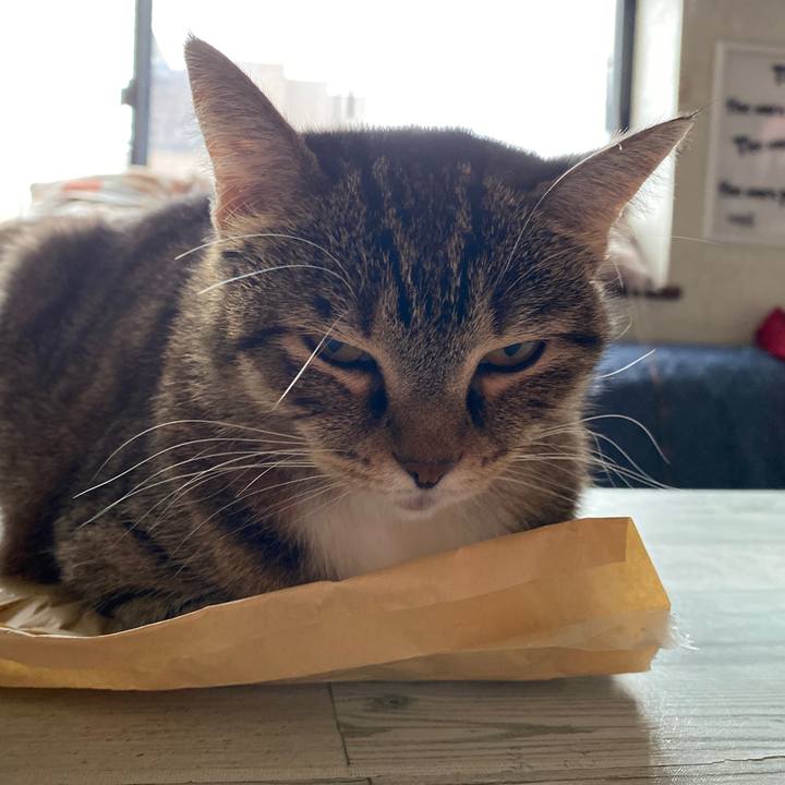 6c74e2b2 b772 41d9 9b8e d9511e7658b0 1630901274176