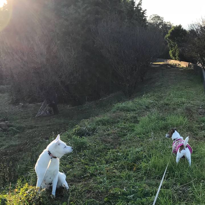 6c74e7a7 a2c9 4bed ba61 195449e95b4d 1512258094017