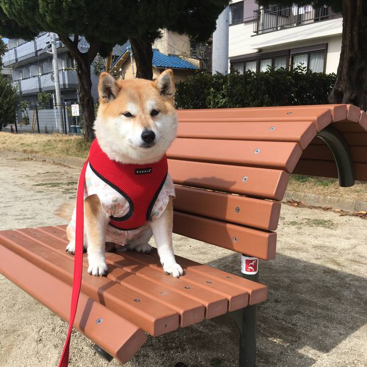 6c74ef2c a2fd 4b75 a735 aa86d1d80284 1584426220343