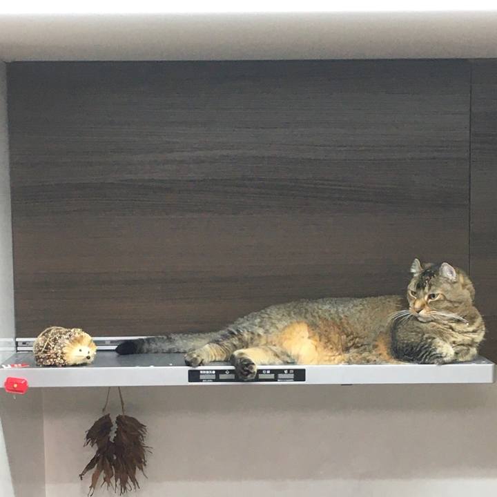 6c752ed2 393f 4c0c bfdb 26dcdb98d868 1594296714546