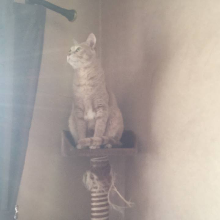 6c7538bf 3929 44da 891f 6bf138325547 1522223344189