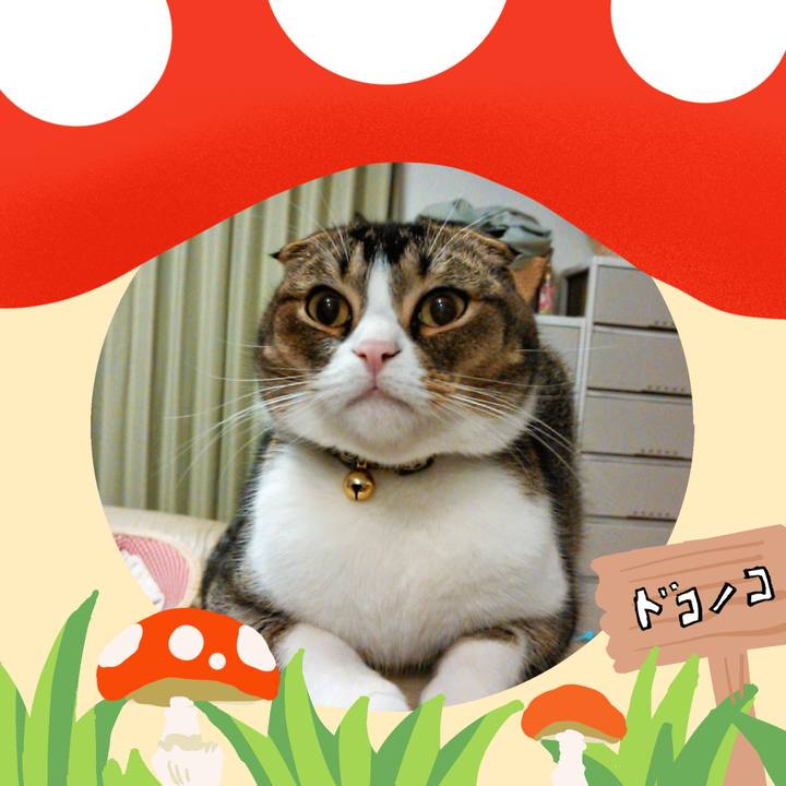 6c755edf 39eb 4691 bd85 72dd98b5a48a 1729083890521